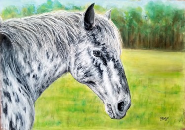 Schilderij getiteld "Appaloosa" door Marian Cobos, Origineel Kunstwerk, Pastel