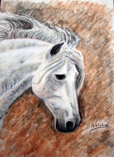 Картина под названием "Tête de cheval blanc" - Marian Cobos, Подлинное произведение искусства