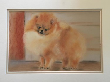 Desenho intitulada "Spitz" por Marianne Hameau, Obras de arte originais, Pastel Montado em Vidro