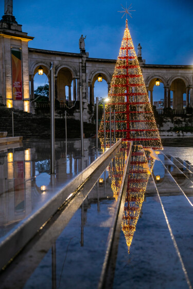 Photographie intitulée "SAPIN" par Marie Elisabeth Soler, Œuvre d'art originale, Photographie non manipulée