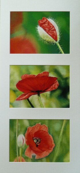 "Trio de coquelicots" başlıklı Resim Marie-Françoise Le Néen tarafından, Orijinal sanat, Pastel