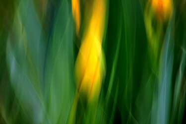 Photography titled "Jaune Tulipe - Abst…" by Marie Marlène Mahalatchimy, Original Artwork, Non Manipulated Photography
