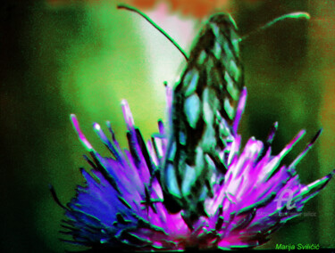 Digital Arts με τίτλο "Butterfly flower -…" από Marija Sviličić, Αυθεντικά έργα τέχνης, Ψηφιακή ζωγραφική