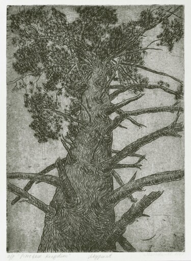 Εκτυπώσεις & Χαρακτικά με τίτλο "Pinetree Kingdom" από Maslova, Αυθεντικά έργα τέχνης, Χαρακτική