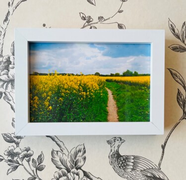 Fotografia zatytułowany „Nature Field” autorstwa Marina Black, Oryginalna praca, Fotografia cyfrowa Zamontowany na Karton