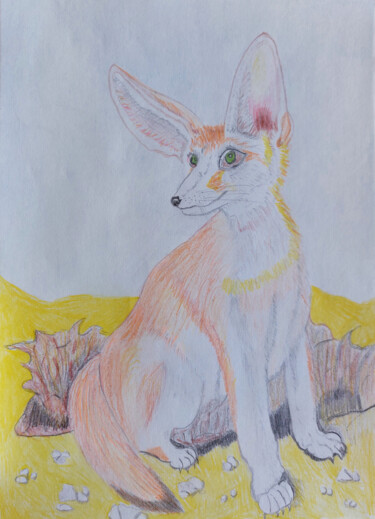 Desenho intitulada "Fennec fox" por Marina Danko, Obras de arte originais, Conté