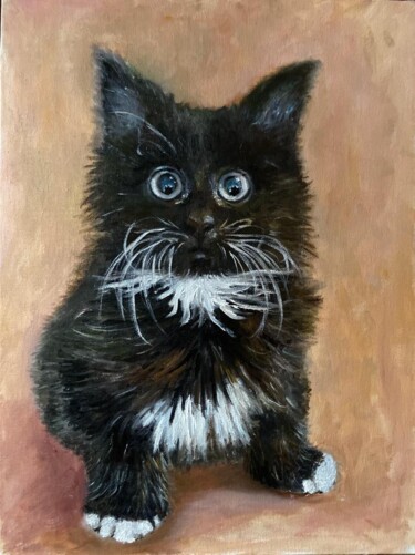 Картина под названием "Black cat" - Marina Gavrilova, Подлинное произведение искусства, Масло