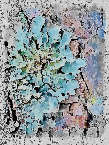 Digital Arts titled "Plant leaf, wood, f…" by Plaline, Original Artwork, Photo Montage