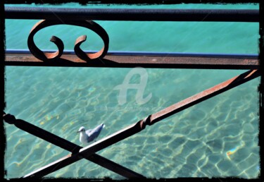 Photography titled "La mouette" by Marion Kormann, Original Artwork