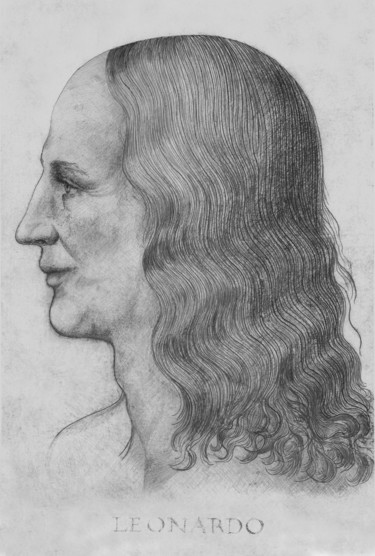 Disegno intitolato "3-leonardo-face-rec…" da Michael Schwahn, Opera d'arte originale, Fotografia digitale