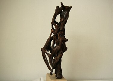 Sculpture titled "rapid" by Martin Blindell, Original Artwork, Wood