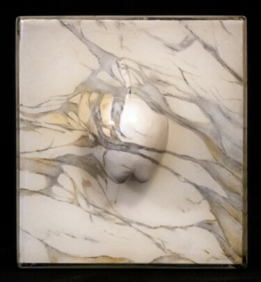 Escultura intitulada "Calcatta" por Martina Ghin (Murphy Dolcenera), Obras de arte originais, Acrílico