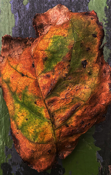 Photographie intitulée "I Inside the Old I…" par Martin Vallis, Œuvre d'art originale, Photographie numérique