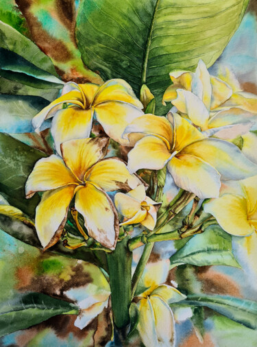 Painting titled "Plumeria - original…" by Maryna Slizinova, Original Artwork, Watercolor