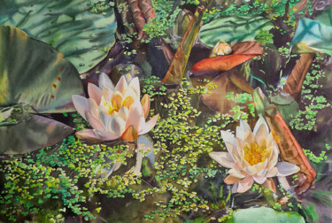Painting titled "Water lily pond - o…" by Maryna Slizinova, Original Artwork, Watercolor