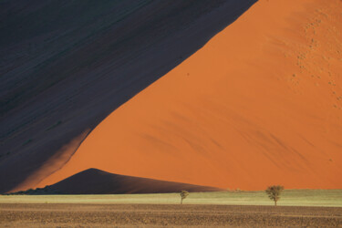 Fotografía titulada "La ligne et les arb…" por Mathieu Pujol, Obra de arte original, Fotografía digital Montado en Cartulina