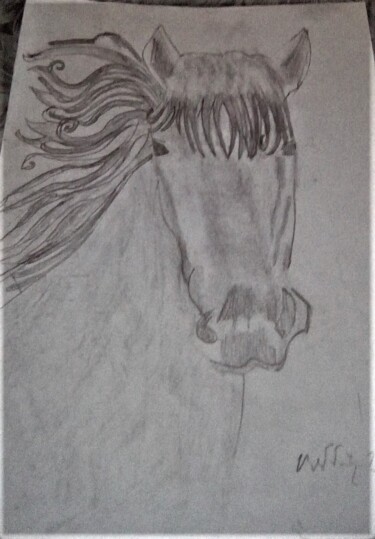 Dessin intitulée "cavallo-01.jpg" par Mattia Baldin, Œuvre d'art originale, Crayon