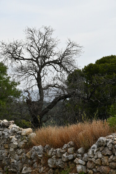 Photography titled "les Baousssss" by Martine Maury, Original Artwork, Non Manipulated Photography