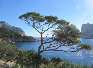 Photographie intitulée "chemin du littoral" par Martine Maury, Œuvre d'art originale, Photographie non manipulée