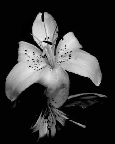 Fotografie getiteld "Black & White Flowe…" door Maxime Guengant, Origineel Kunstwerk, Digitale fotografie