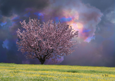 Digital Arts με τίτλο "Prunus en fleurs" από Max Parisot Du Lyaumont, Αυθεντικά έργα τέχνης, Φωτογραφία Μοντάζ