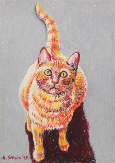 Drawing titled "The cat" by Maja Grecic, Original Artwork, Pastel