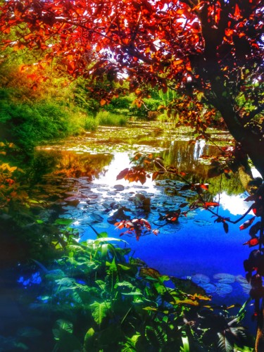 Fotografie mit dem Titel "Jardin de Monet" von Patrick Maze, Original-Kunstwerk, Nicht bearbeitete Fotografie