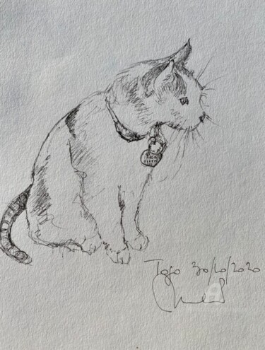 Drawing titled "Togo le chat" by Mc Toulouse, Original Artwork, Gel pen