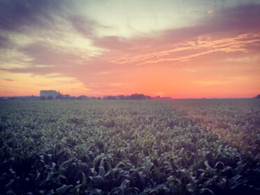 Photographie intitulée "Lonely in the field" par Mdief, Œuvre d'art originale, Photographie numérique