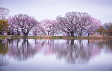 Photographie intitulée "Blossom" par Michael Photography, Œuvre d'art originale