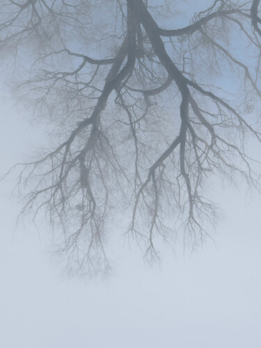 Fotografie mit dem Titel "Winter. A Branching…" von Michael Lomiya, Original-Kunstwerk, Manipulierte Fotografie