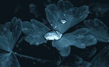 Fotografie mit dem Titel "A Drop Of Water In…" von Michael Lomiya, Original-Kunstwerk, Analog Fotografie
