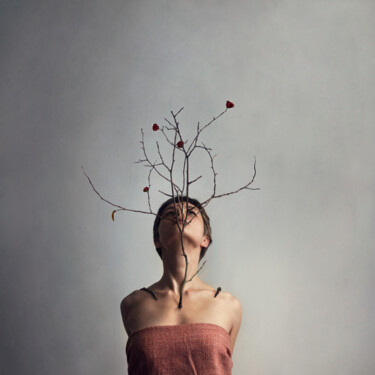 Photographie intitulée "Metamorphosis II" par Michaela Haider (Lia Niobe), Œuvre d'art originale, Photographie manipulée