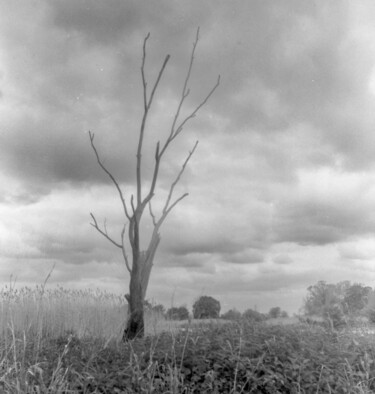 Photographie intitulée "Mroczne" par Michał Wiśniecki, Œuvre d'art originale, Photographie numérique