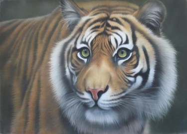 Peinture intitulée "Le Tigre à l'affut" par Christian Michaut, Œuvre d'art originale, Huile