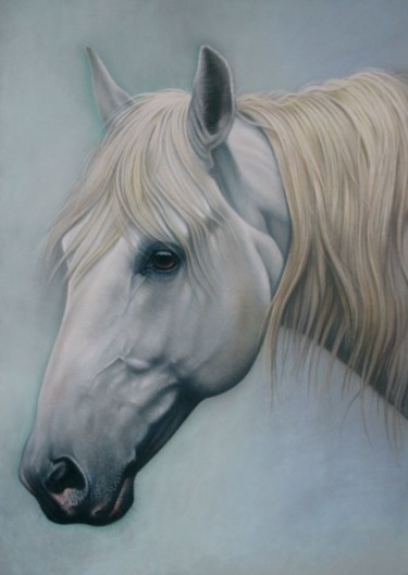 Peinture intitulée "Cheval Blanc de pro…" par Christian Michaut, Œuvre d'art originale, Huile