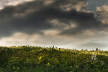 Photography titled "la montée du blé" by Michel Babkine, Original Artwork, Digital Photography