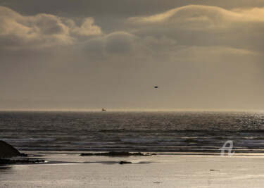 Photography titled "la mouette et le bo…" by Michel Babkine, Original Artwork, Digital Photography