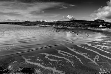 Fotografía titulada "algues vertes" por Michel Babkine, Obra de arte original, Fotografía digital