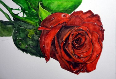 Schilderij getiteld "ROSE ROUGE" door Michel Cendra-Terrassa, Origineel Kunstwerk, Aquarel