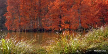 Fotografie getiteld "Etang de Boulieu en…" door Michel Guillet, Origineel Kunstwerk