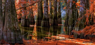 Fotografie getiteld "Etang de Boulieu en…" door Michel Guillet, Origineel Kunstwerk