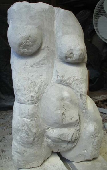 Sculpture intitulée "2007 TRONC" par Michel Moskovtchenko, Œuvre d'art originale, Pierre