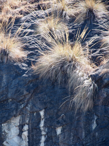 Fotografía titulada "Zazous" por Michel Paulin, Obra de arte original, Fotografía digital