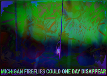 Arte digitale intitolato "michigan fireflies…" da Michel Tabanou, Opera d'arte originale
