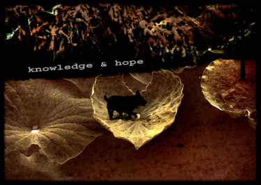 Artes digitais intitulada "knowledge & hope" por Michel Tabanou, Obras de arte originais, Pintura digital