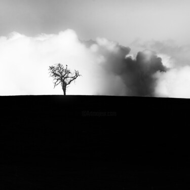 "Symbiosis" başlıklı Fotoğraf Michel Tavella (INDIGO) tarafından, Orijinal sanat, Dijital Fotoğrafçılık