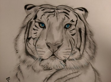Drawing titled "tête de tigre" by Michel Uderso, Original Artwork