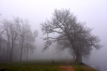 Photographie intitulée "SAISON EN BOURGOGNE…" par Michel Volle, Œuvre d'art originale, Photographie numérique Monté sur Cart…