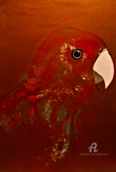 Painting titled "A Bird Of Many Colo…" by Michela Curtis, Original Artwork, Oil